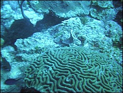 IMAG0088.JPG