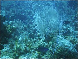 IMAG0096.JPG