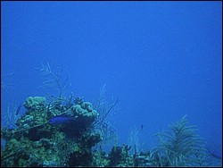 IMAG0097.JPG