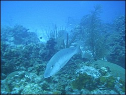 IMAG0098.JPG