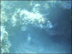 IMAG0104.JPG
