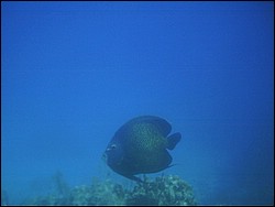 IMAG0105.JPG