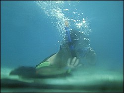 IMAG0106.JPG