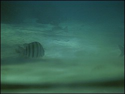 IMAG0108.JPG