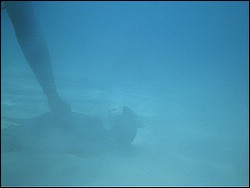 IMAG0110.JPG