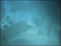 IMAG0113.JPG