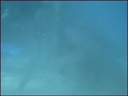 IMAG0115.JPG