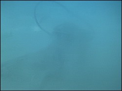 IMAG0116.JPG