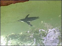 29070026.jpg