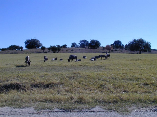 92120026.JPG