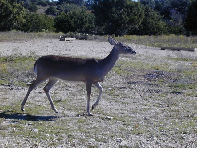 92120028.JPG