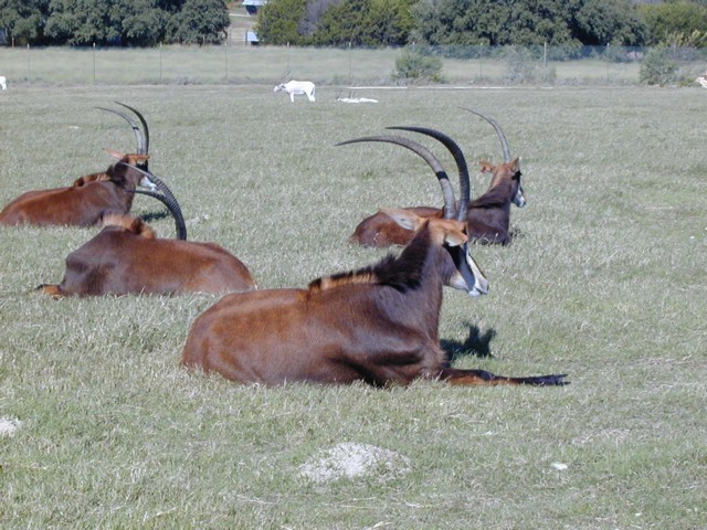 92120043.JPG