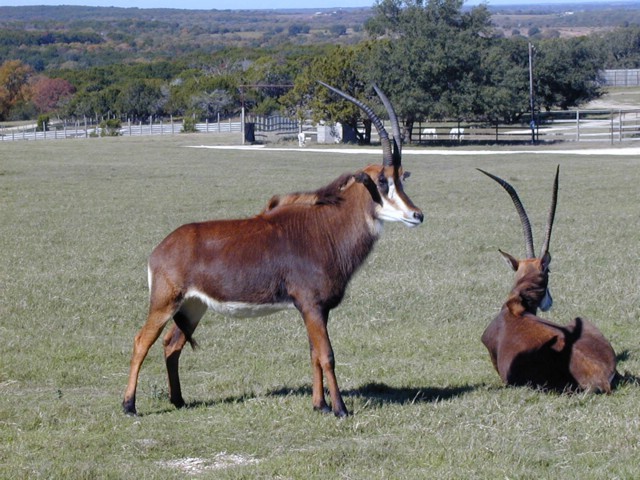 92120044.JPG