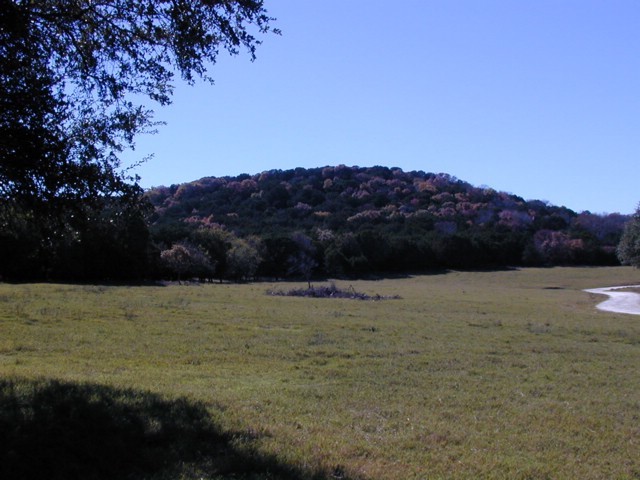 92120059.JPG
