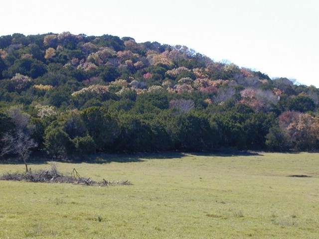 92120060.JPG