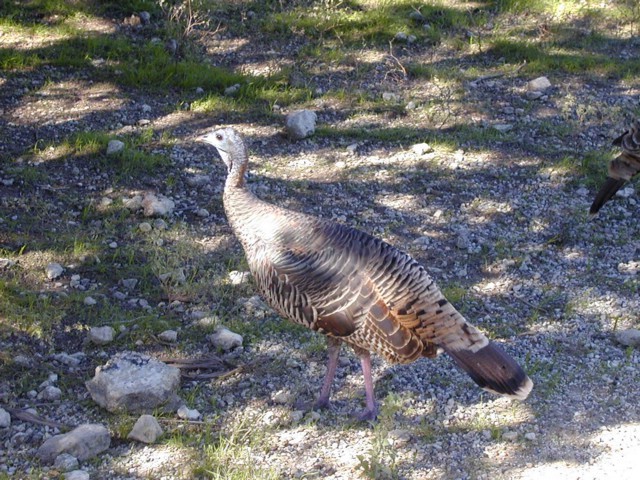 92120063.JPG