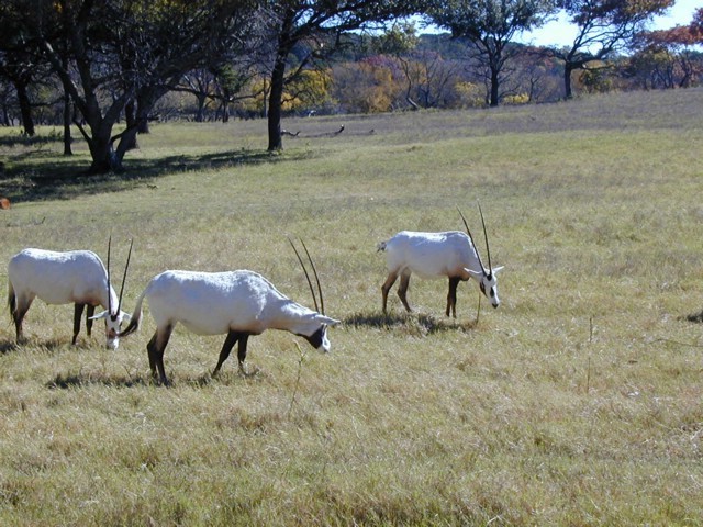 92120070.JPG