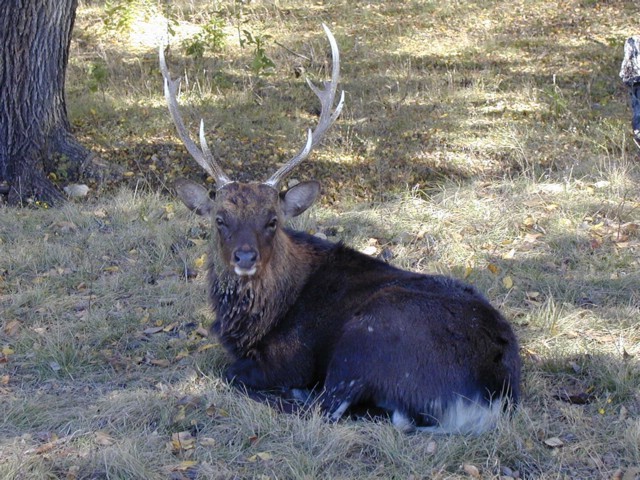92120074.JPG