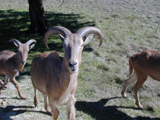 92120094.JPG