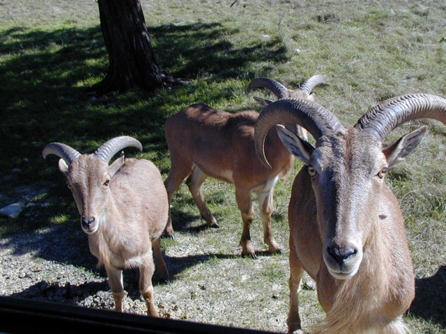 92120096.JPG