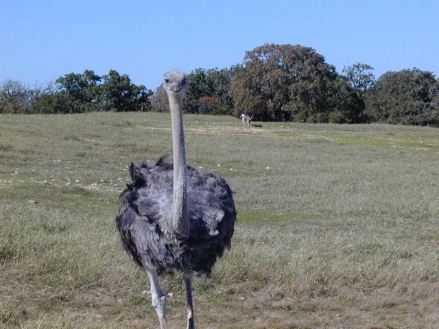 92120107.JPG