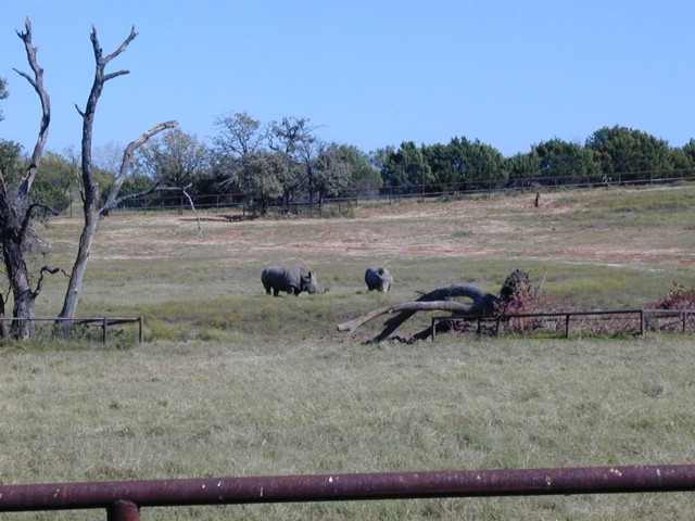 92120111.JPG