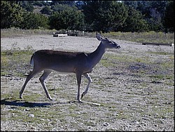 92120028.JPG