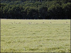 92120034.JPG