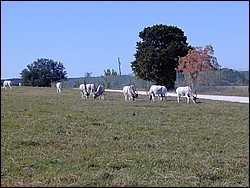 92120038.JPG