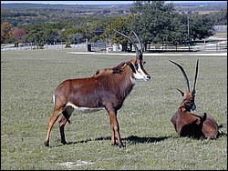 92120044.JPG