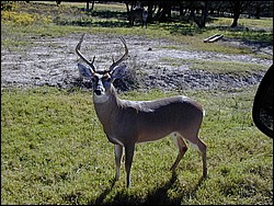 92120053.JPG