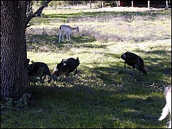 92120054.JPG