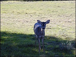 92120057.JPG