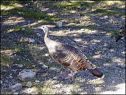 92120063.JPG