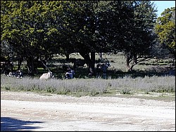 92120065.JPG
