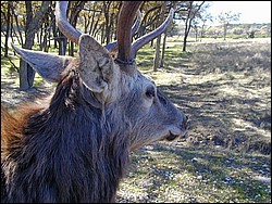 92120069.JPG
