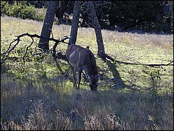 92120072.JPG
