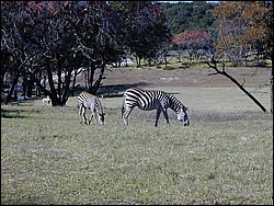 92120080.JPG