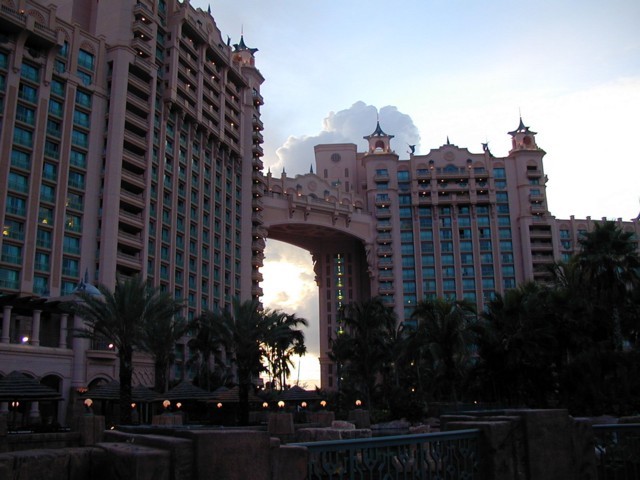91010020.JPG