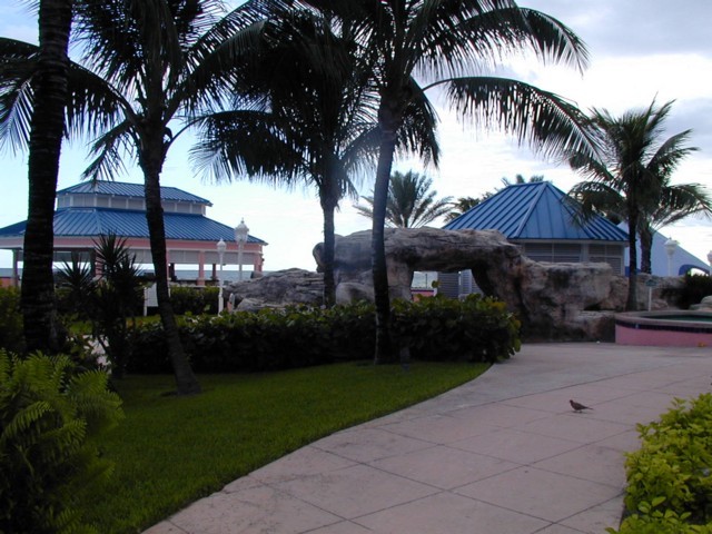 91020093.JPG