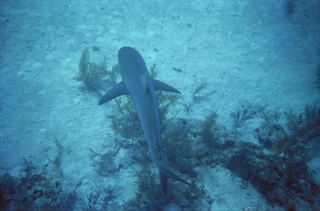 d-008_08.jpg
