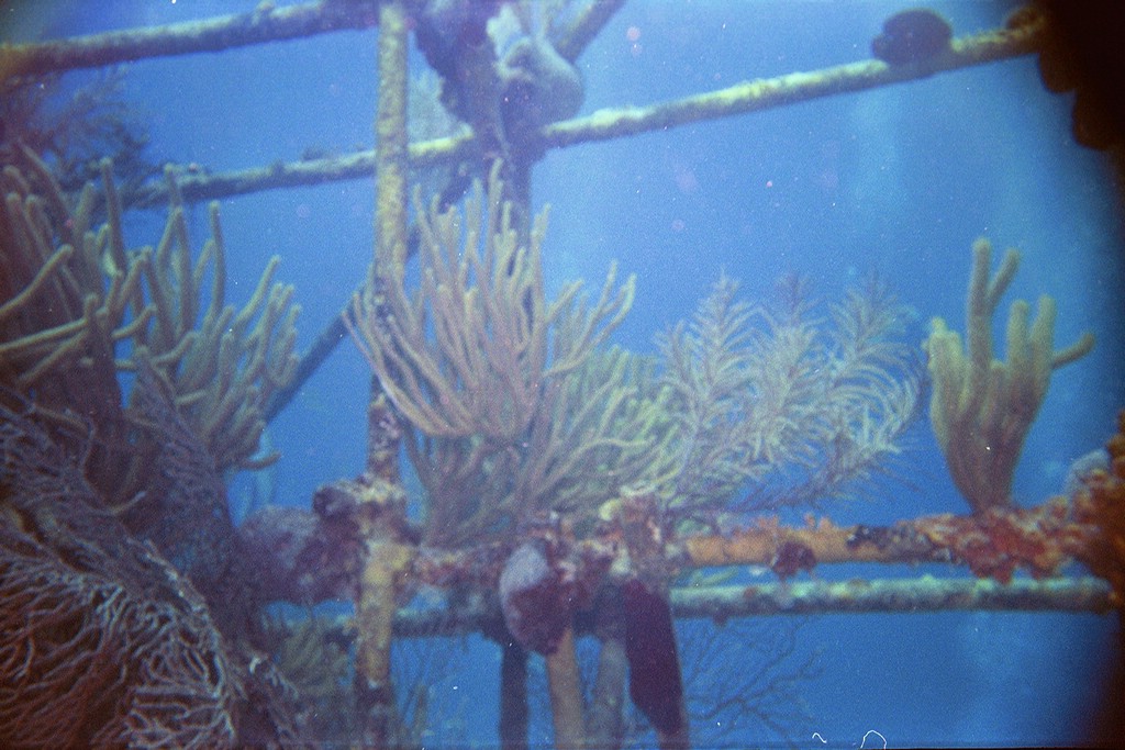 d-028_28.jpg