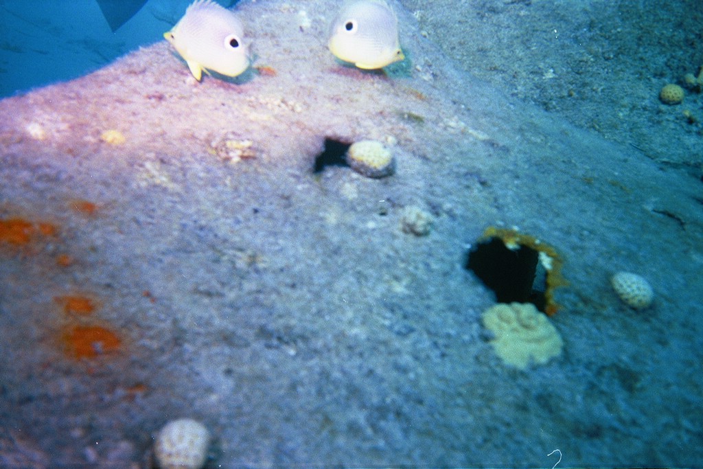 d-035_35.jpg