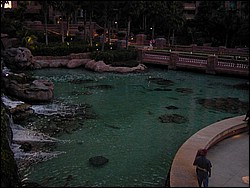 91010024.JPG