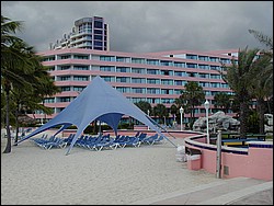 91020098.JPG