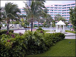 91020100.JPG