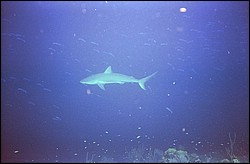 d-006_06.jpg
