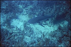d-007_07.jpg