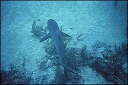d-008_08.jpg