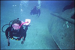 d-010_10.jpg